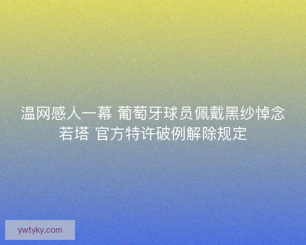 温网感人一幕 葡萄牙球员佩戴黑纱悼念若塔 官方特许破例解除规定