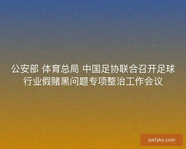 公安部 体育总局 中国足协联合召开足球行业假赌黑问题专项整治工作会议