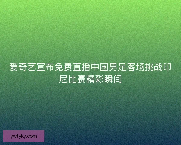 爱奇艺宣布免费直播中国男足客场挑战印尼比赛精彩瞬间